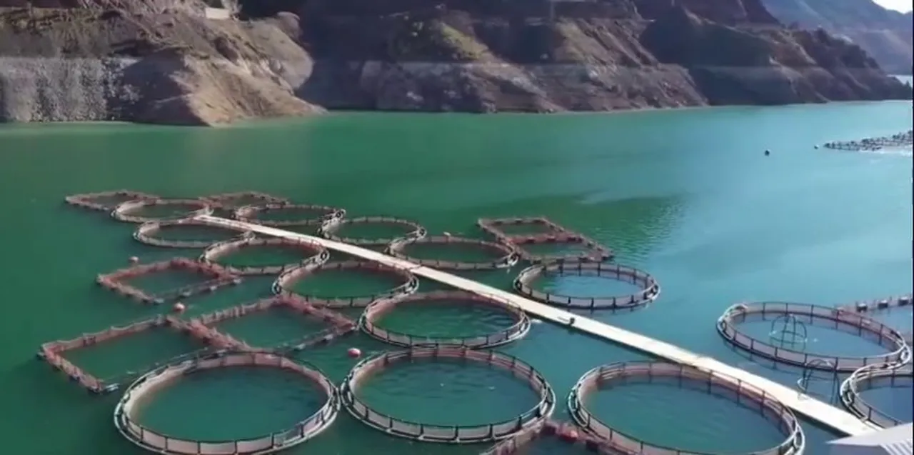 Erzurum'a 3,38 milyar TL'lik yatırım! 5 bin 226 kişi iş sahibi oldu