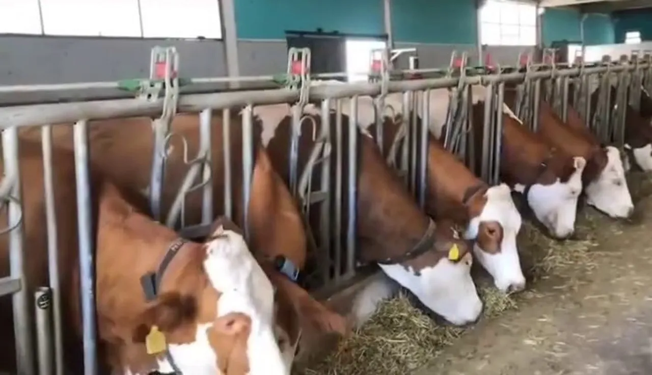 Erzurum'a 3,38 milyar TL'lik yatırım! 5 bin 226 kişi iş sahibi oldu