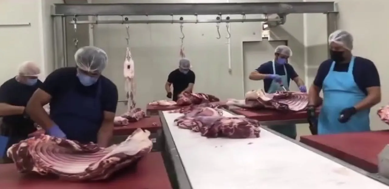 Erzurum'a 3,38 milyar TL'lik yatırım! 5 bin 226 kişi iş sahibi oldu