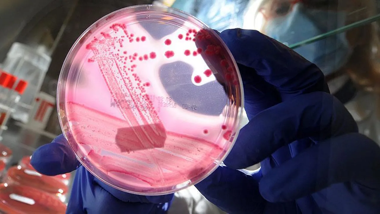 Görünmez tehlike! Ölümlerin yüzde 6,37sinin sebebi, İstanbul’da risk yüzde 10 arttı