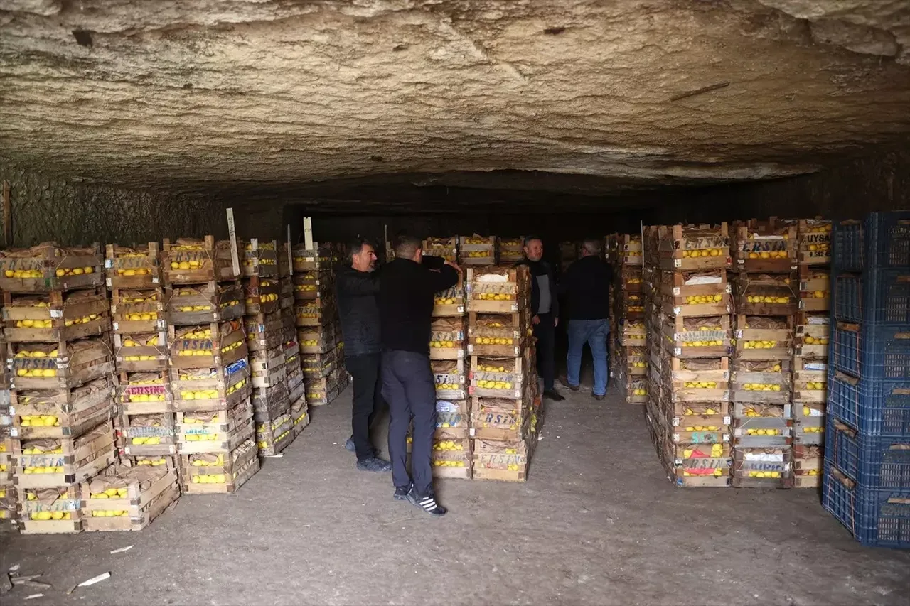 Hasadı Mersin, deposu Nevşehir’de! 66 yıllık mağarada saklanan limonlar 3047 nüfuslu beldenin gelir kapısı oldu