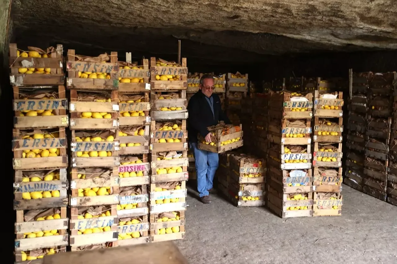 Hasadı Mersin, deposu Nevşehir’de! 66 yıllık mağarada saklanan limonlar 3047 nüfuslu beldenin gelir kapısı oldu