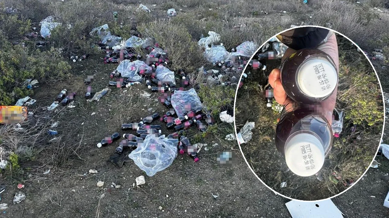 Hepsinin tarihi geçmiş! Yüzlercesini ormanlık alana attılar