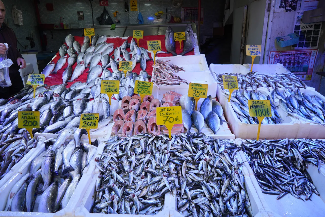 Kilosu 70 TL! İşte tezgahların en ucuz balığı