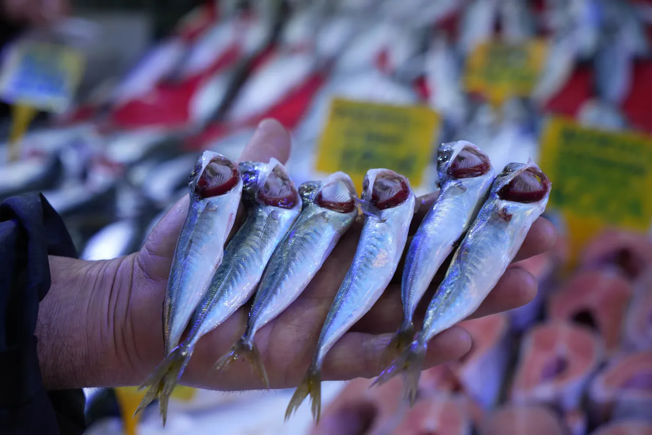 Kilosu 70 TL! İşte tezgahların en ucuz balığı