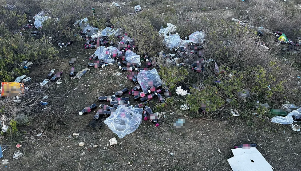 Tarihi geçmiş yüzlerce ürünü ormana attılar! Tepki çekti