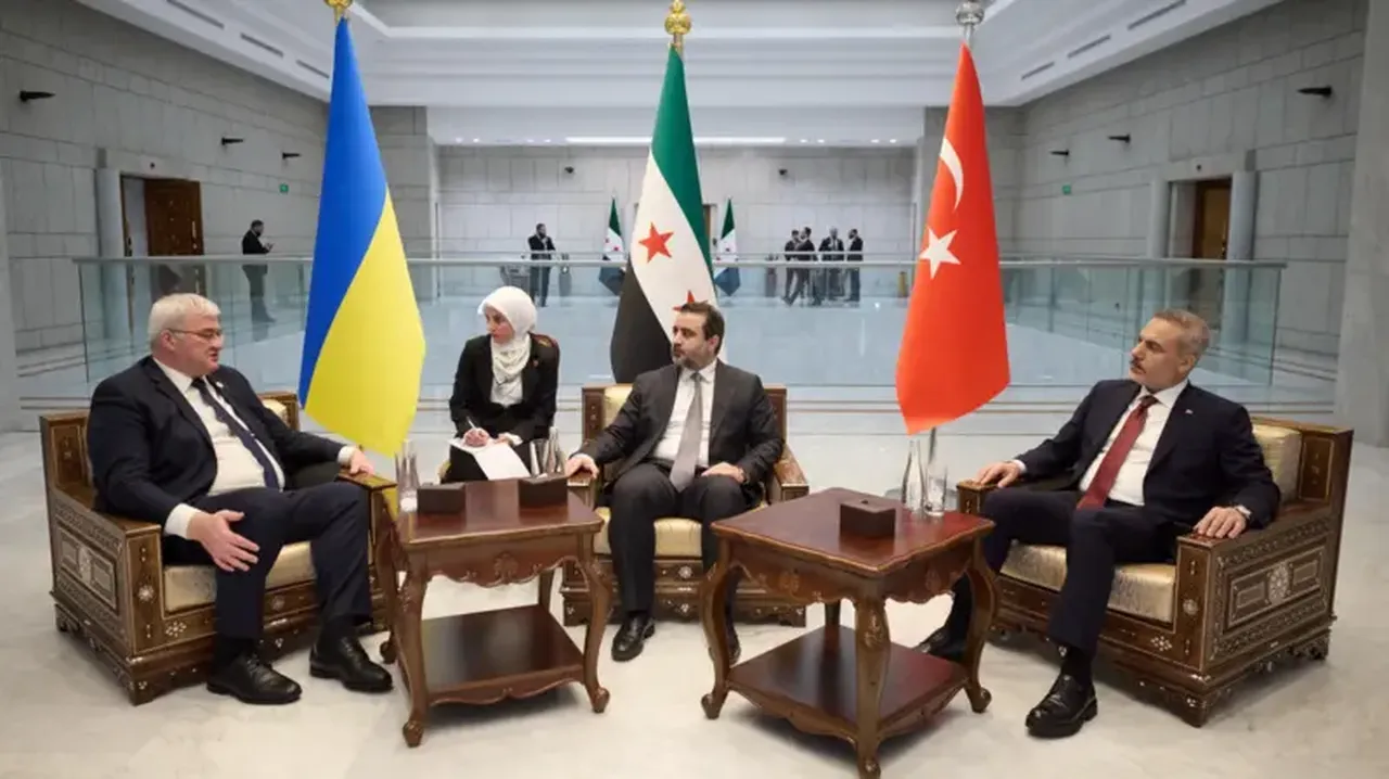 Türkiye-Suriye-Ukrayna hattında güvenlik paktı! Zelesnkiy, Erdoğan'a teşekkür etti