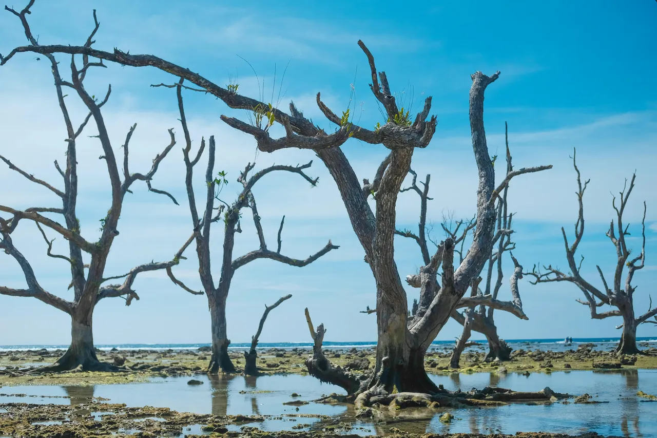 33 ülkelik 'sessiz felaket' raporu! Türkiye de listede, 2 milyar insan susuzluk riskiyle karşı karşıya