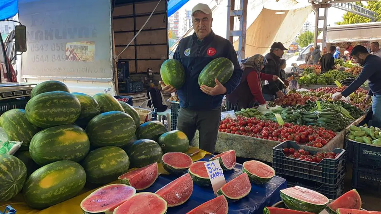 Karpuz dilim dilim satışa çıktı! Fiyatı alıcıyı da satıcıyı da sevindirdi