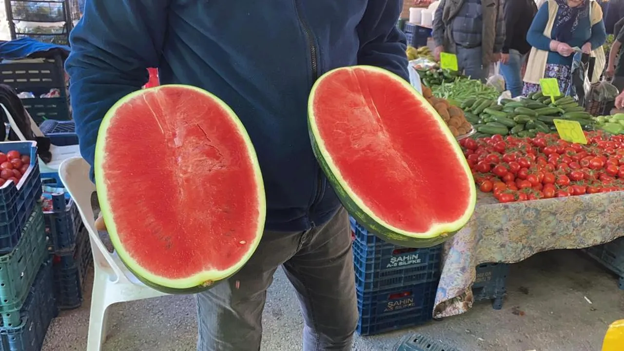 Karpuz dilim dilim satışa çıktı! Fiyatı alıcıyı da satıcıyı da sevindirdi