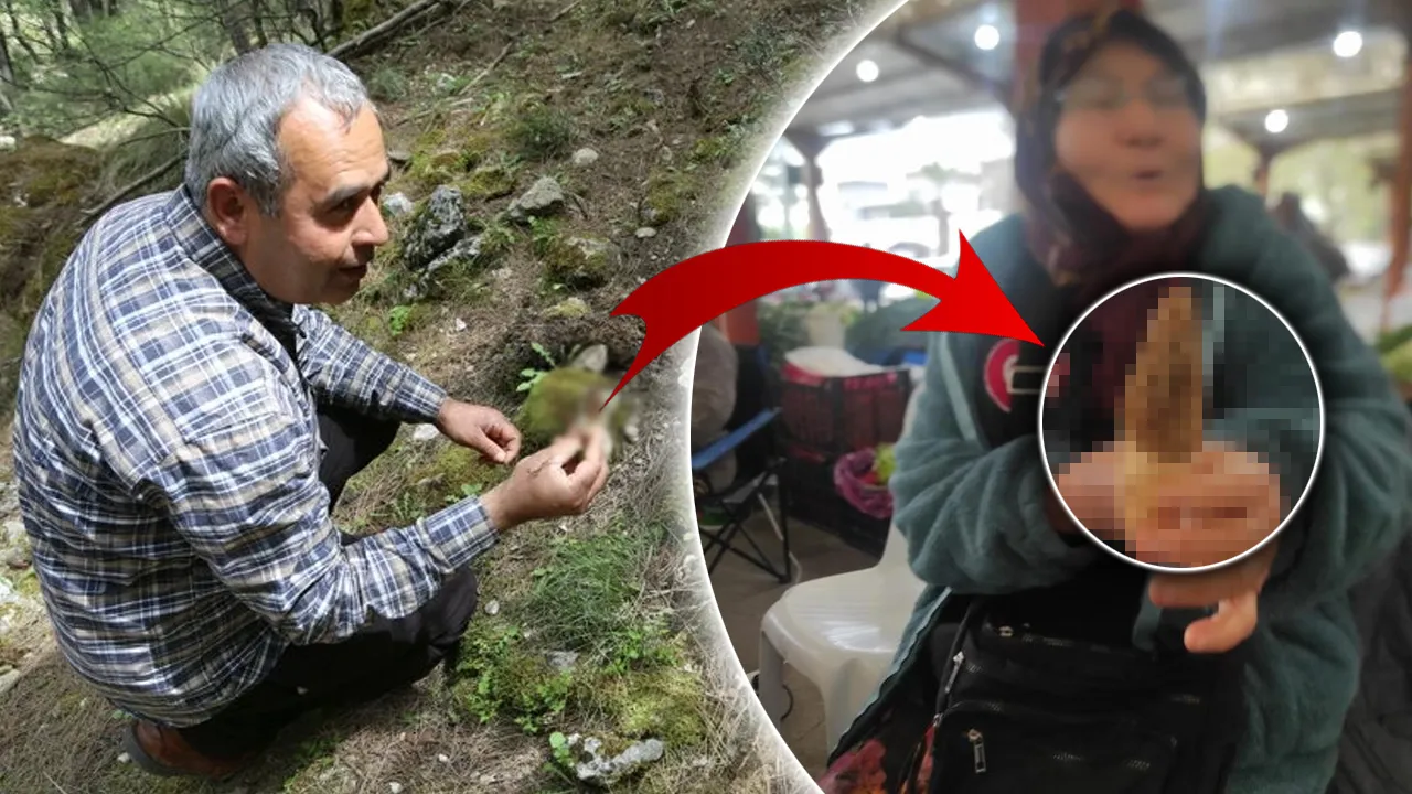 Kendi kendine yetişiyor! 