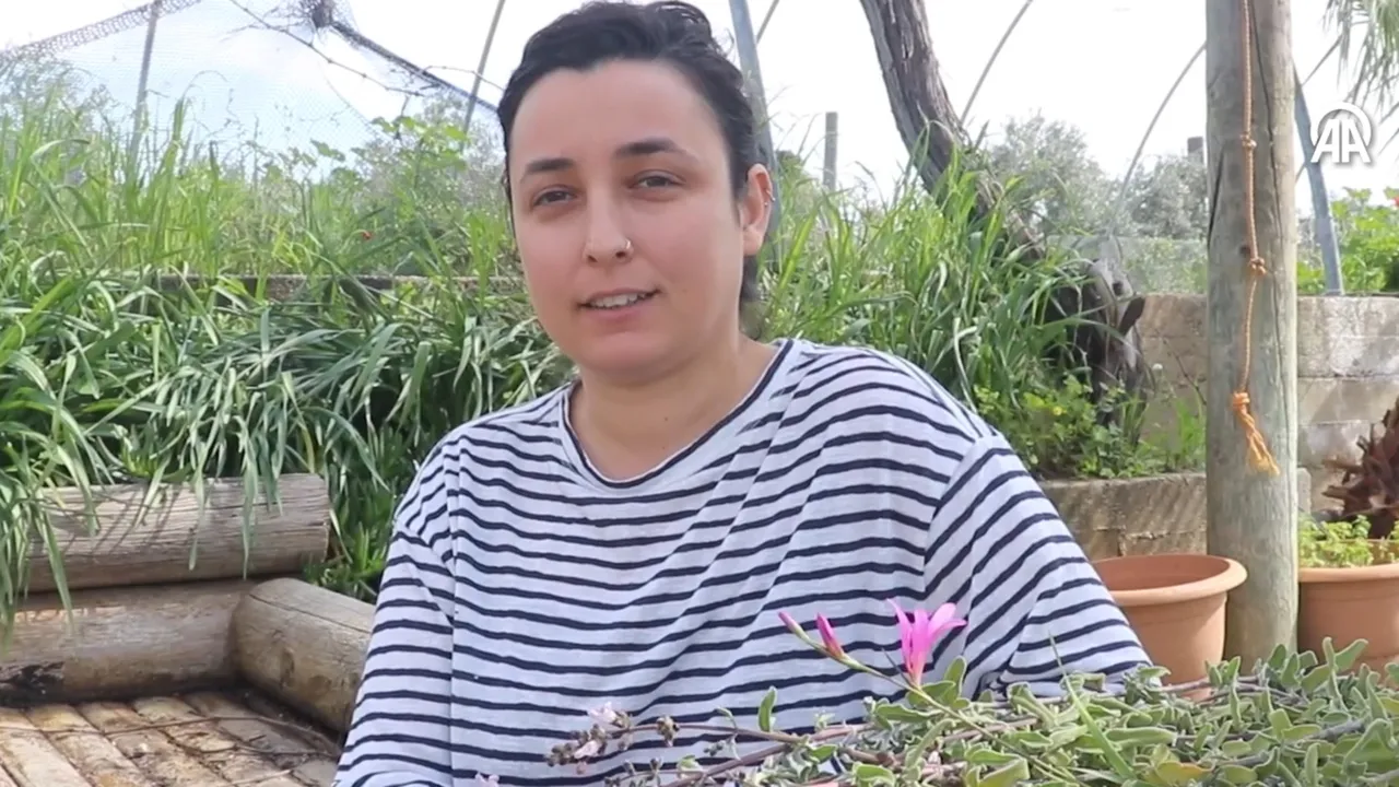 Mühendisliği bırakıp memleketine döndü! 70 ton tıbbi bitkiyi altın değerinde ürünlere çevirdi