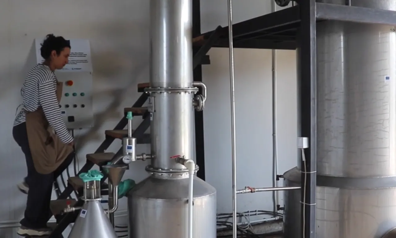 Mühendisliği bırakıp memleketine döndü! 70 ton tıbbi bitkiyi altın değerinde ürünlere çevirdi