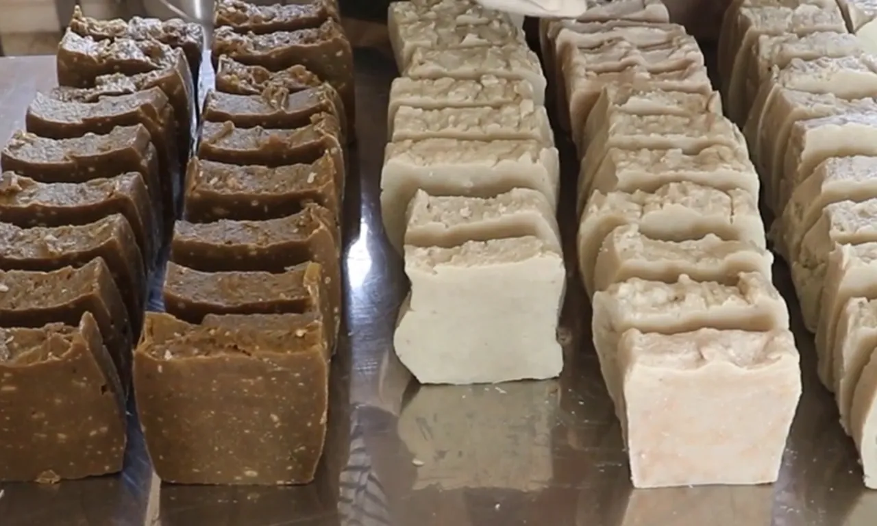 Mühendisliği bırakıp memleketine döndü! 70 ton tıbbi bitkiyi altın değerinde ürünlere çevirdi