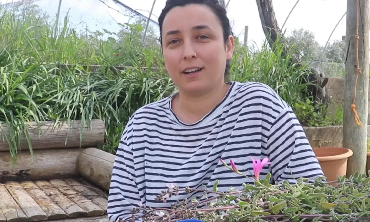 Mühendisliği bırakıp memleketine döndü! 70 ton tıbbi bitkiyi altın değerinde ürünlere çevirdi