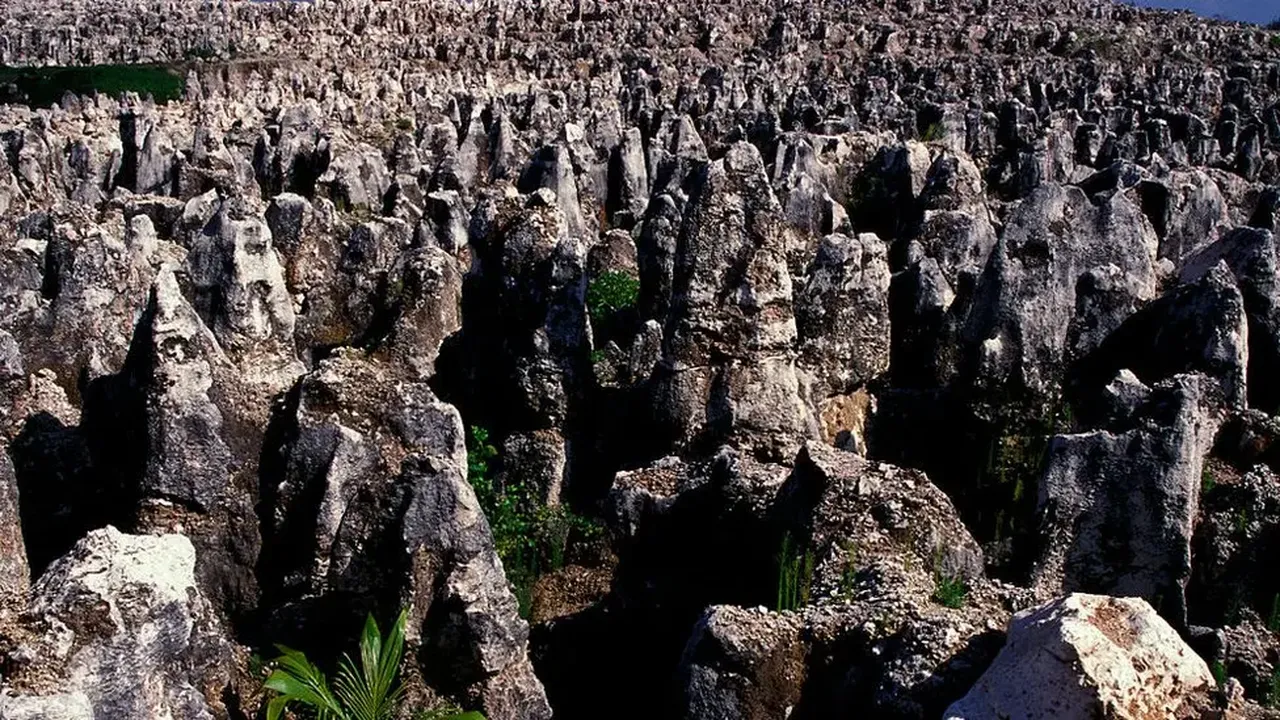 Sefahatten sefalete: Nauru