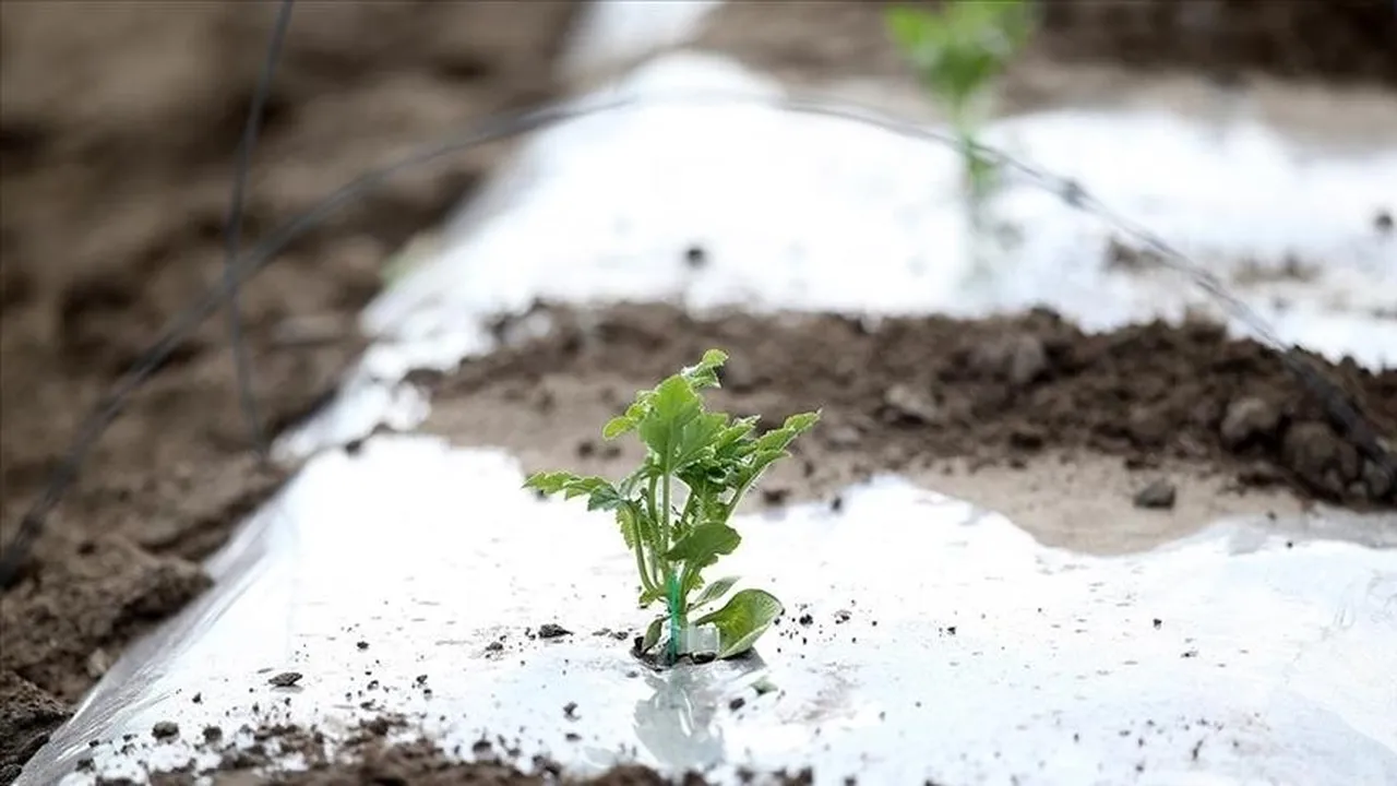 Toprağın altı dondu! Meteoroloji verileri duyurdu, 174 merkezde görüldü