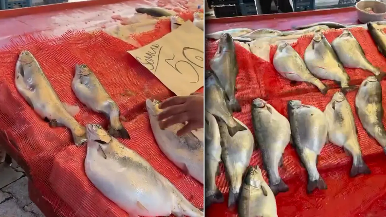 50 TL'ye satılan somon tartışmaya neden oldu! Sakın almayın