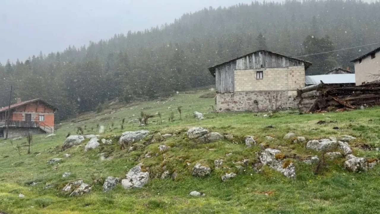 Bahar beklerken kış geldi! Mayıs ayında lapa lapa kar yağdı