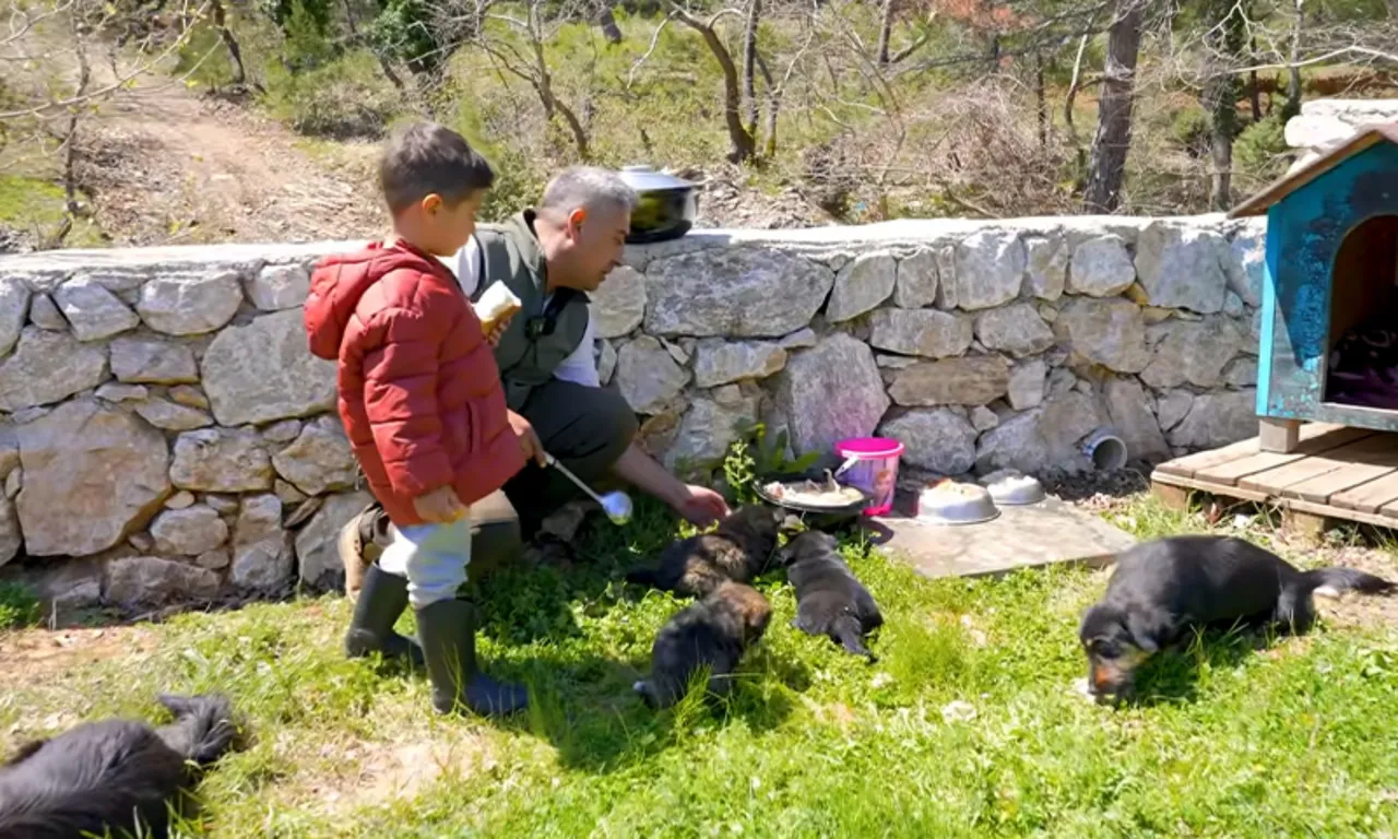 Bülent Polat şehir hayatını bırakıp köye yerleşti… 6 dönümlük arazide elektrik yok, telefon çekmiyor