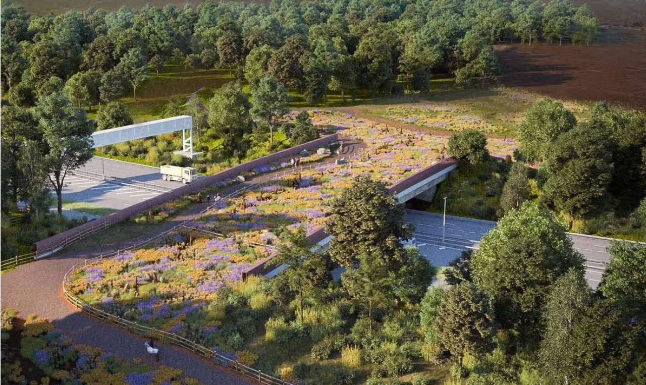 İngiltere’de 227 milyonluk dev proje! Tam 68 metre: Yabani hayvanlar için köprü yapıldı