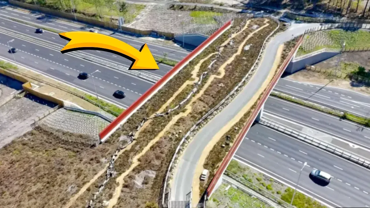 227 MİLYONLUK DEV PROJE