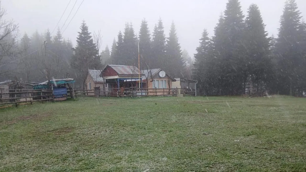 Sakarya'da mayıs ayında kar sürprizi!