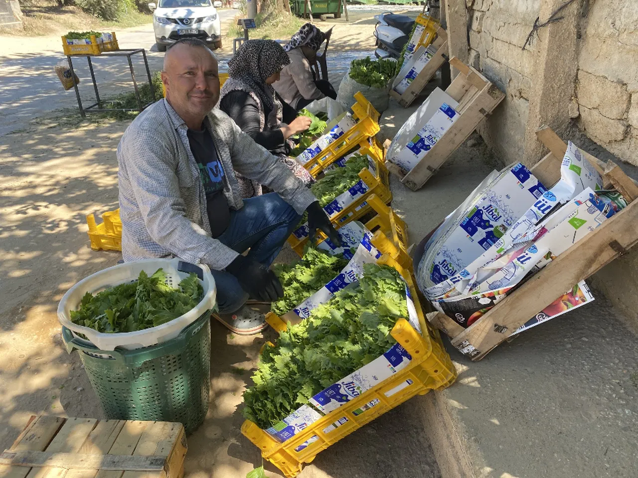 Üreticiye çifte kazanç! Meyvesi 90, yaprağı 120 lira