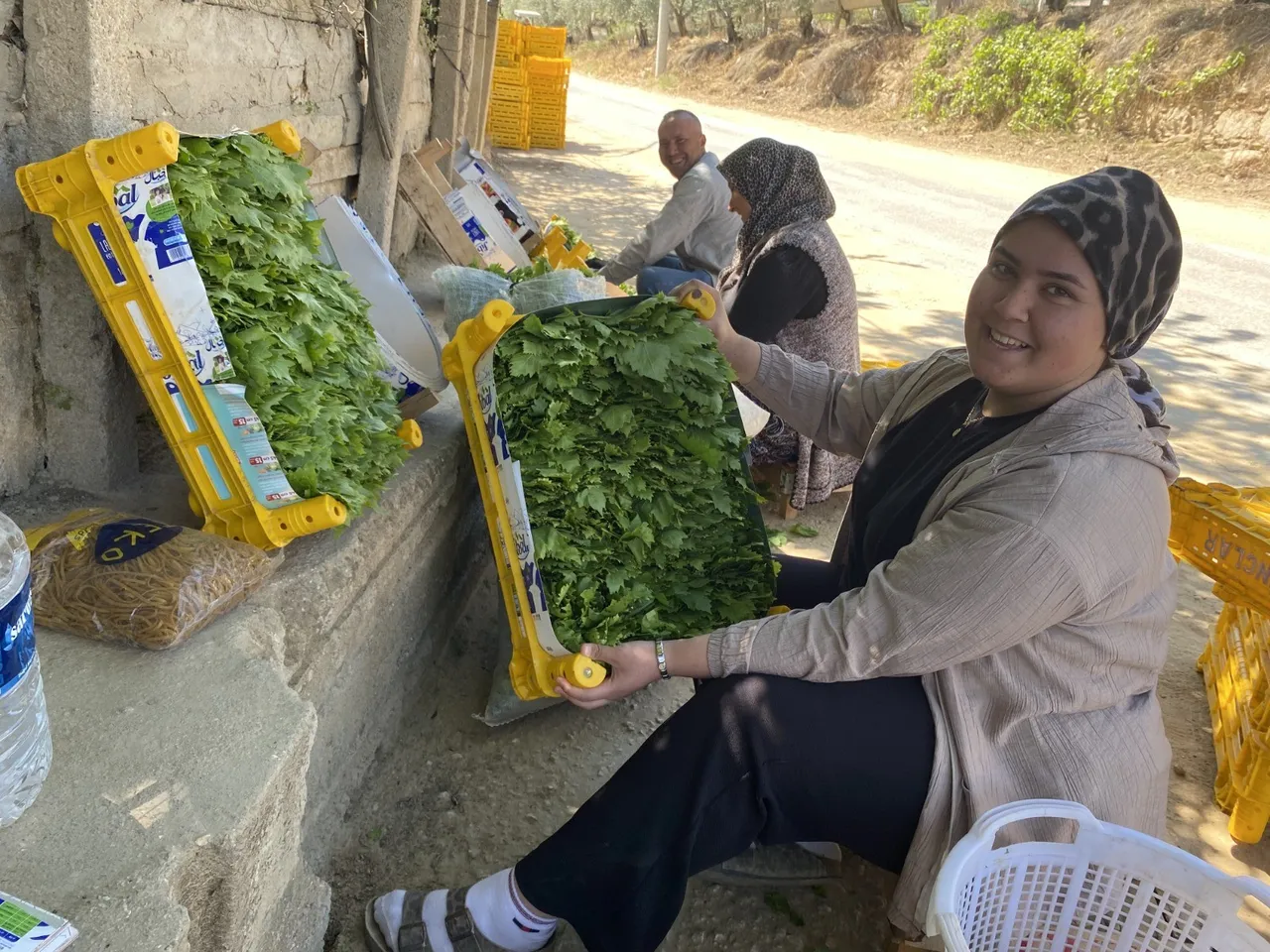 Üreticiye çifte kazanç! Meyvesi 90, yaprağı 120 lira