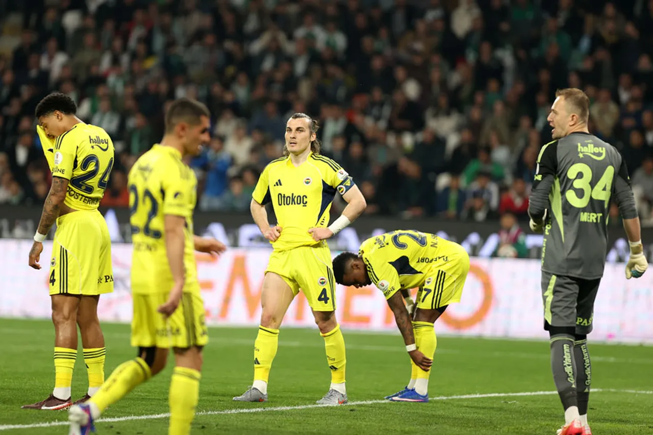 Fenerbahçe Futbol Takımı