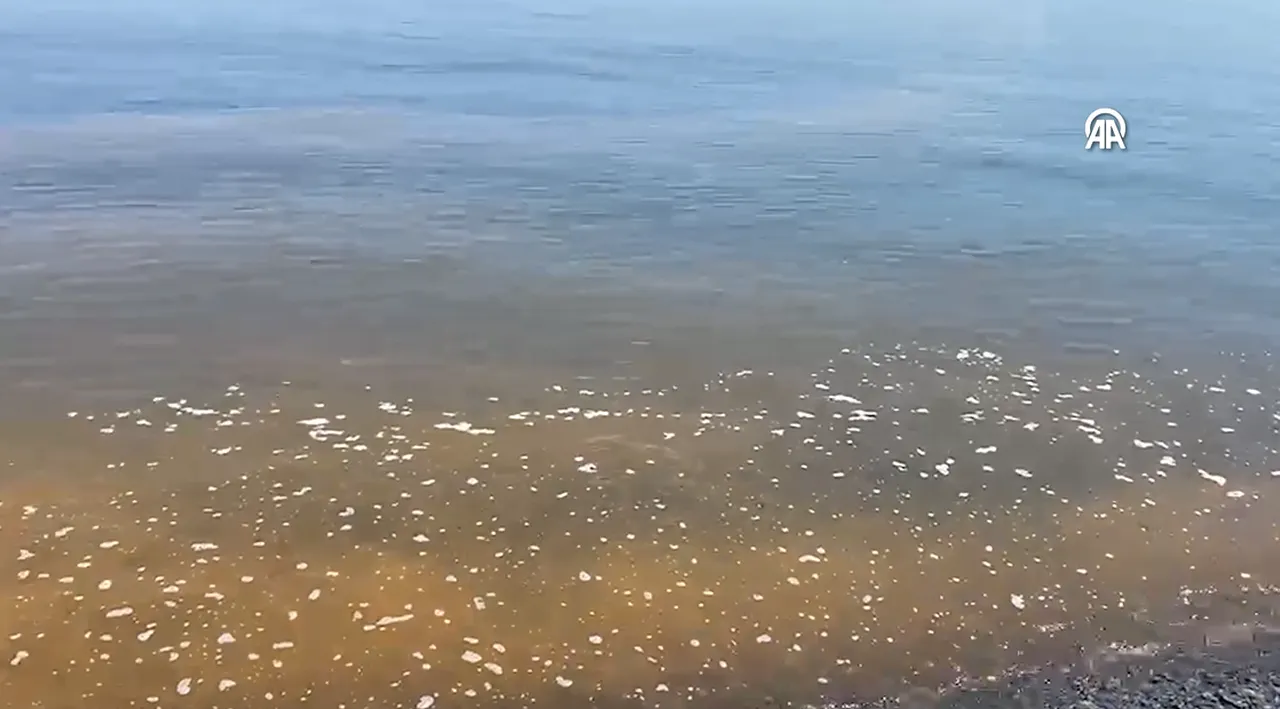Marmara Denizi’nde korkutan görüntü! Hızla çoğalabilir, denizin rengi turuncuya döndü