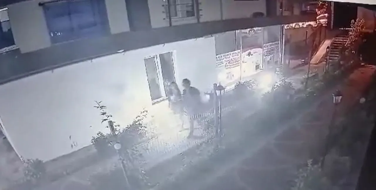 Büyükçekmece'de cesedi halıya sarılı halde bulunmuştu! Sedef Güler cinayetinde karar çıktı