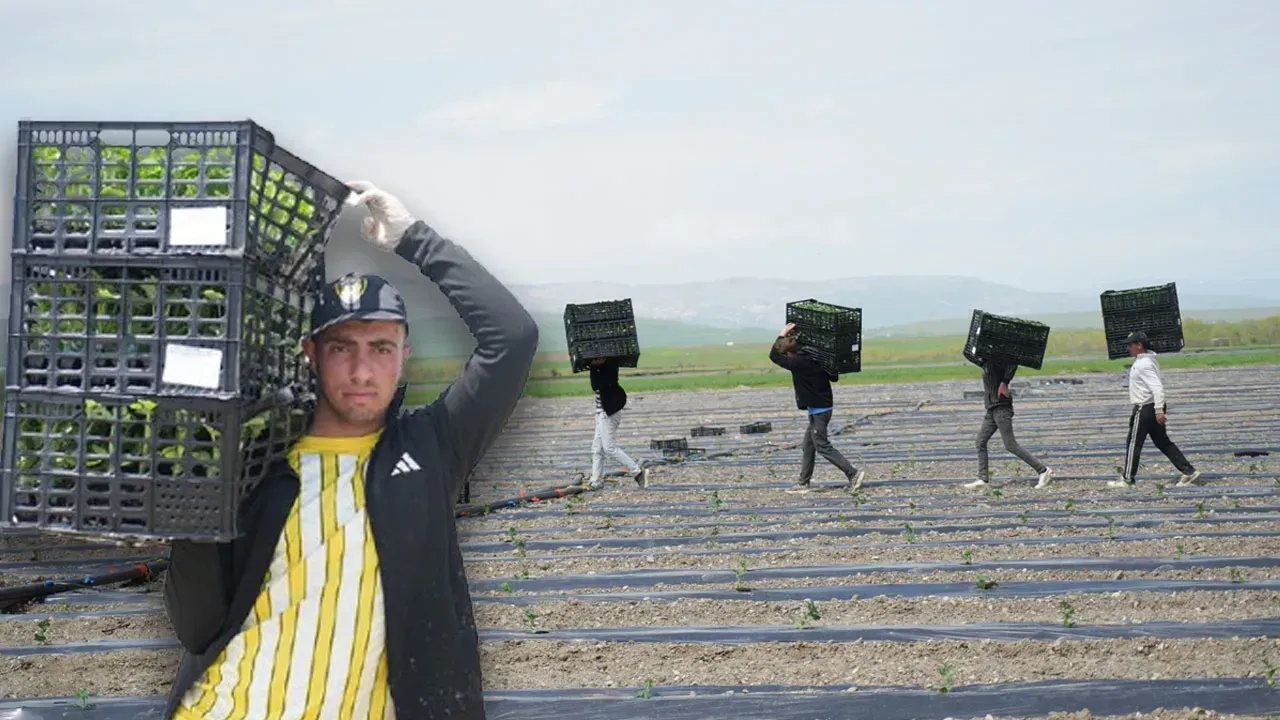 AROMASIYLA DİKKAT ÇEKİYOR