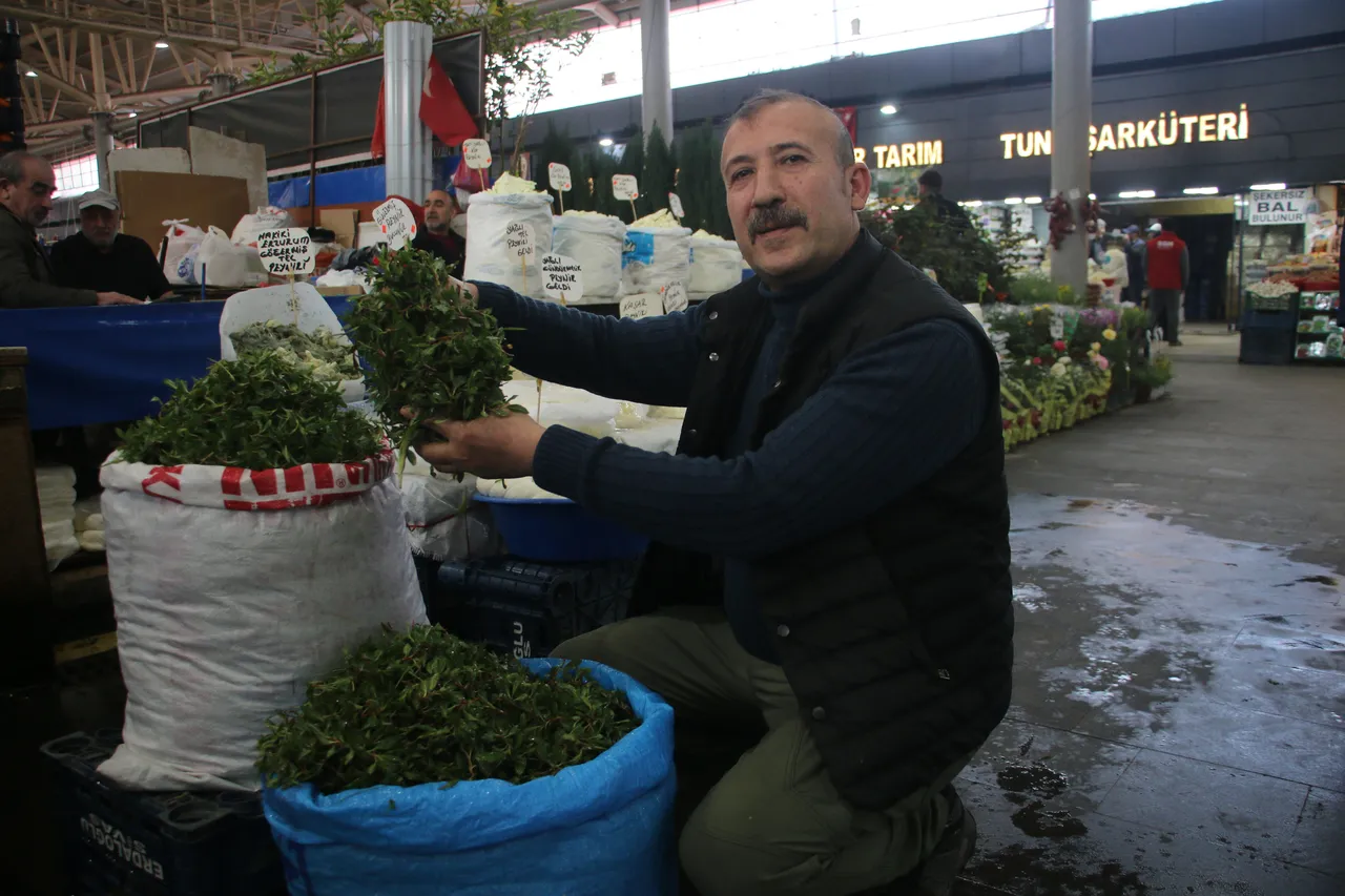 Doğada kendiliğinden yetişiyor, vatandaşın geçim kaynağı oldu! Kilosu 200 TLden satılıyor