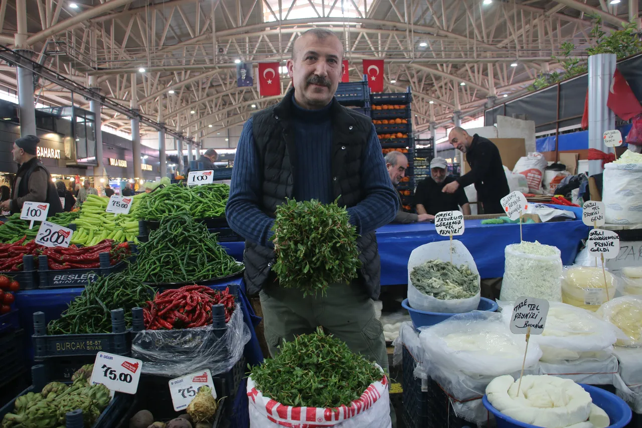 Doğada kendiliğinden yetişiyor, vatandaşın geçim kaynağı oldu! Kilosu 200 TLden satılıyor