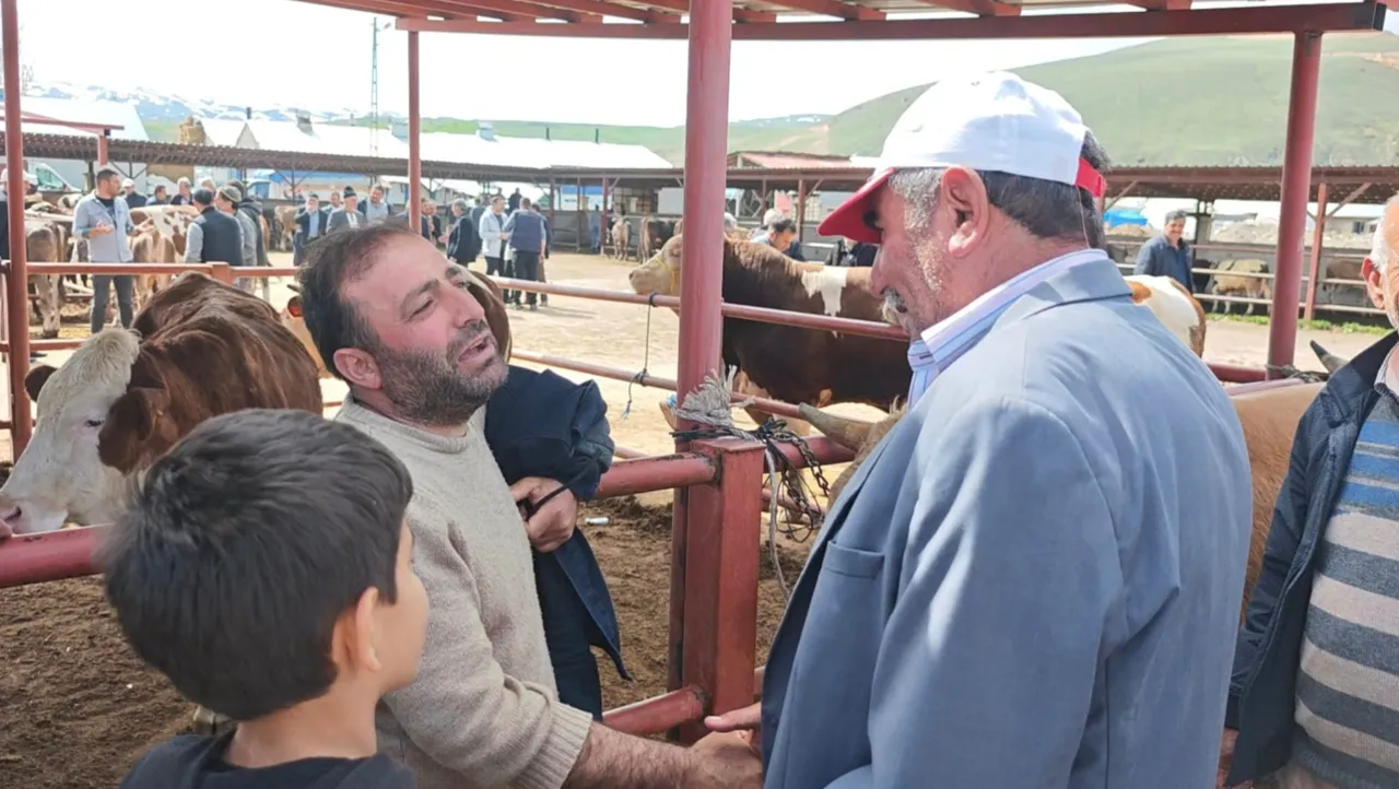Kurban hareketliliği başladı! 12 binden başlayıp 600 bin liraya kadar çıkıyor