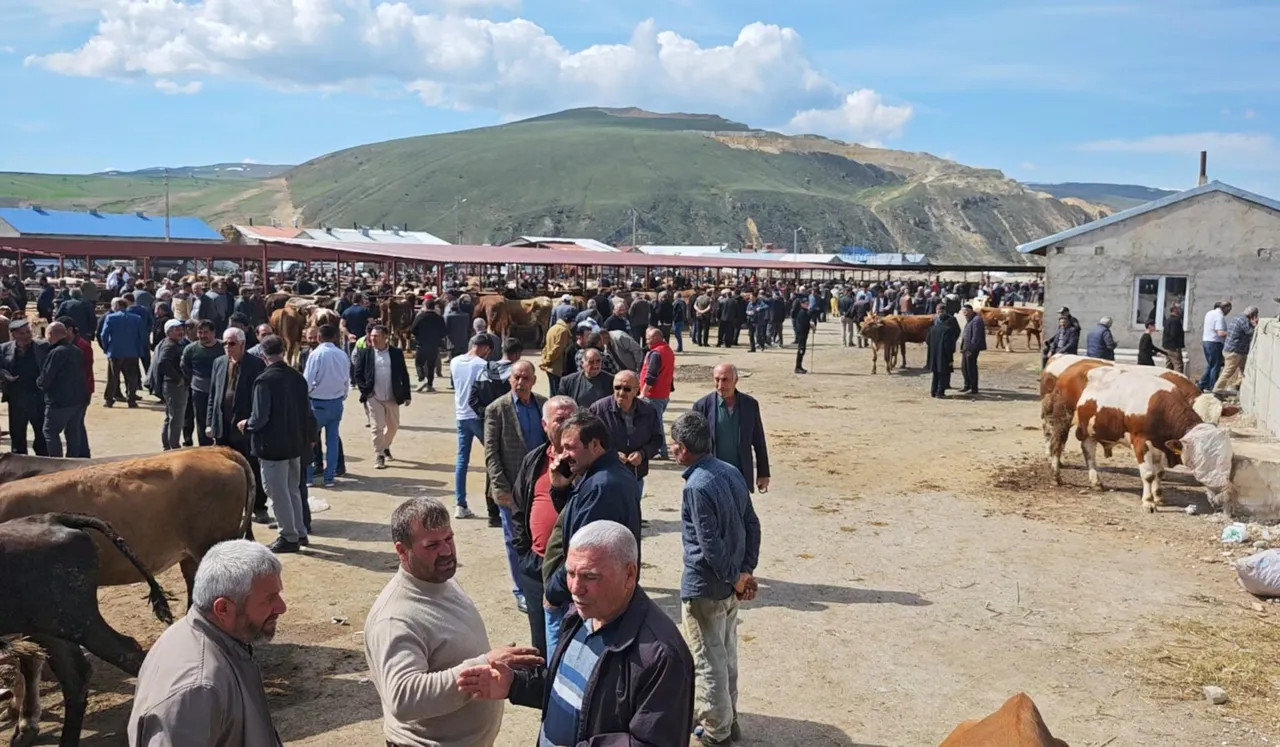Kurban hareketliliği başladı! 12 binden başlayıp 600 bin liraya kadar çıkıyor