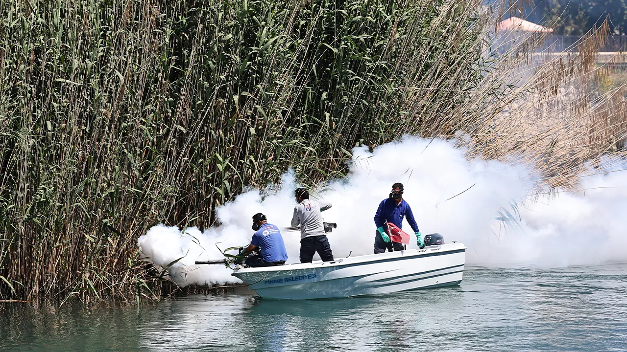 Antalya’da ‘vektör’ önlemi! Denizden karaya her köşe ilaçlandı