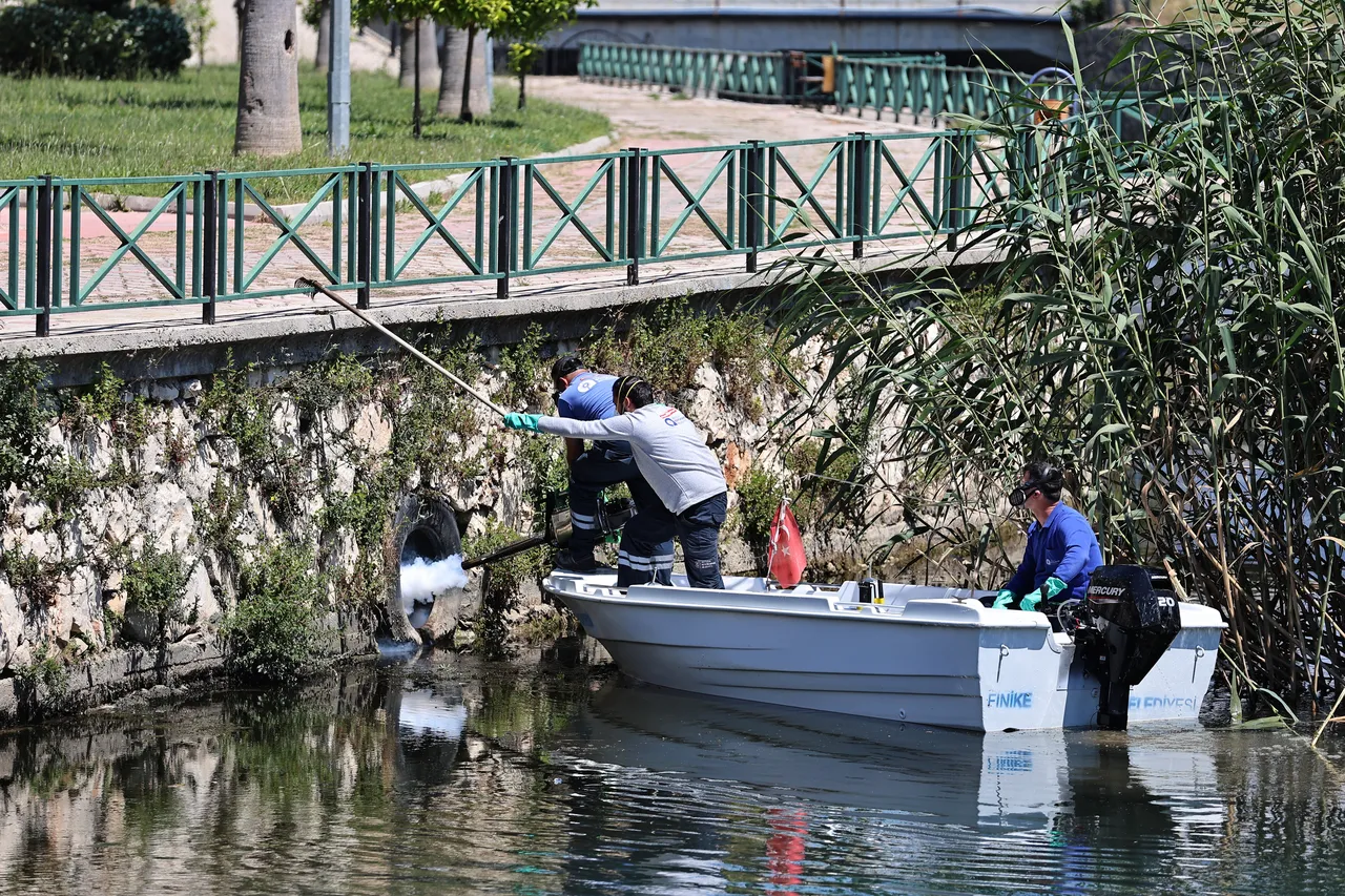 Antalya’da ‘vektör’ önlemi! Denizden karaya her köşe ilaçlandı