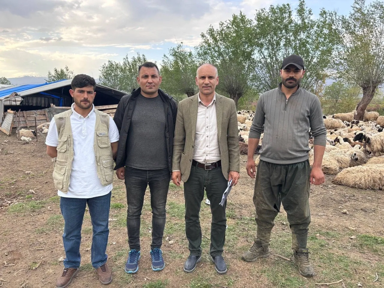 Aylık 150 bin TL’ye çalışacak işçi bulamıyorlardı! Türkiye’de bir ilk! Afganistan’dan çoban getirildi, asgari ücret alacaklar