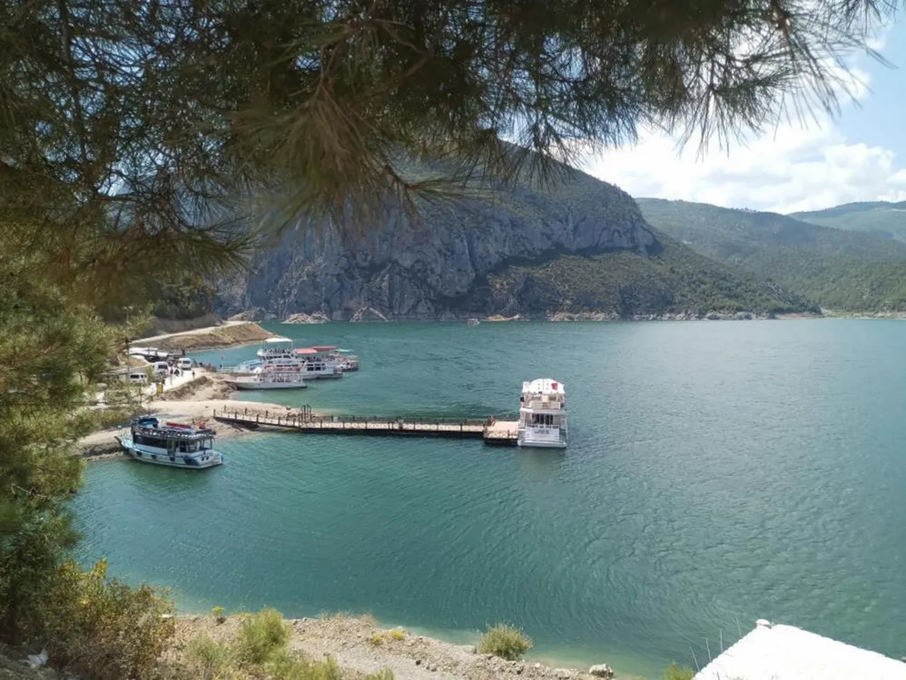 Bu bitki ve hayvanlara dokunmanın cezası dudak uçuklatıyor! Doğada görürseniz yolunuzu değiştirin