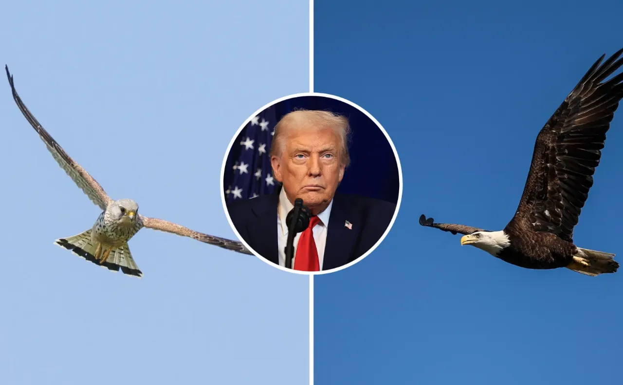 Drone korkusu aklını başından aldı: Trump kuşu görünce panik oldu