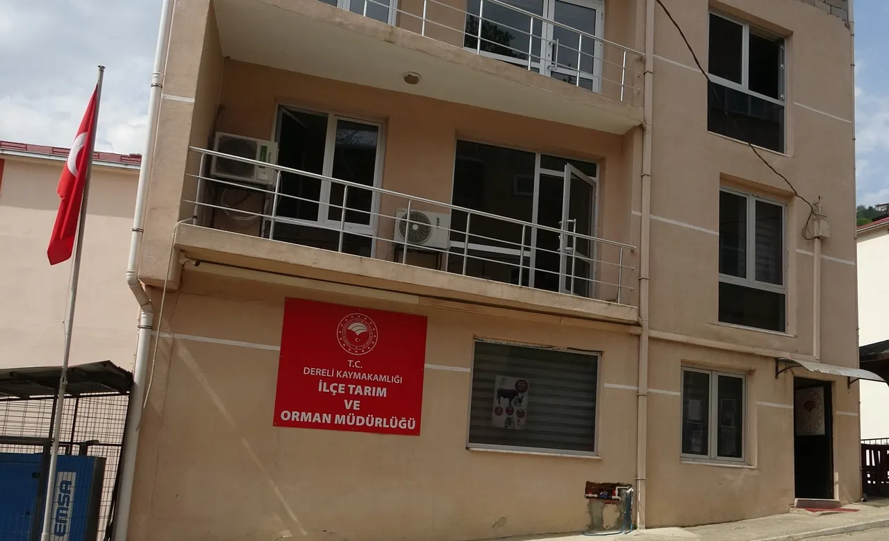 İlçe Tarım ve Orman Müdürlüğünde 600 milyonluk vurgun! Müdür firarda