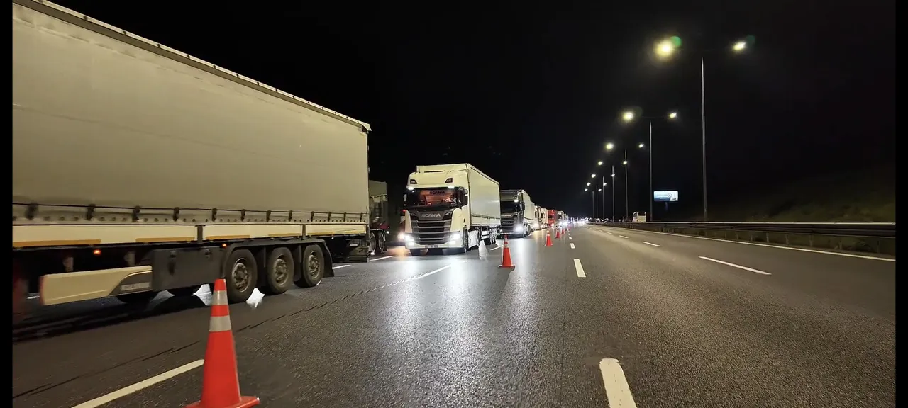 İstanbul'da bayram mesaisi başladı! Kurbanlıklar kente giriş yaptı