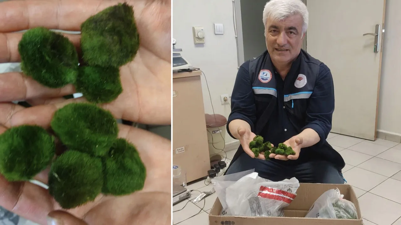 Sınırda şaşkına çeviren operasyon! Yolcu otobüsü ile sokmaya çalıştılar, hepsi de canlı... 