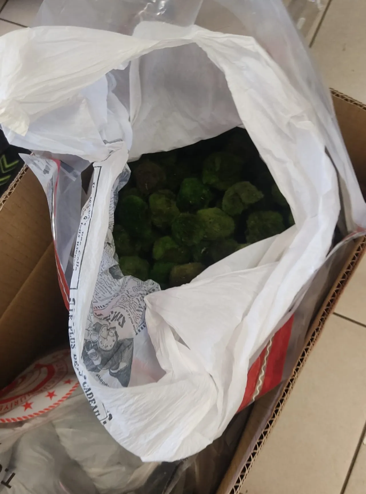 Sınırda şaşkına çeviren operasyon! Yolcu otobüsü ile yurda sokmak istediler! Hepsi de canlı...