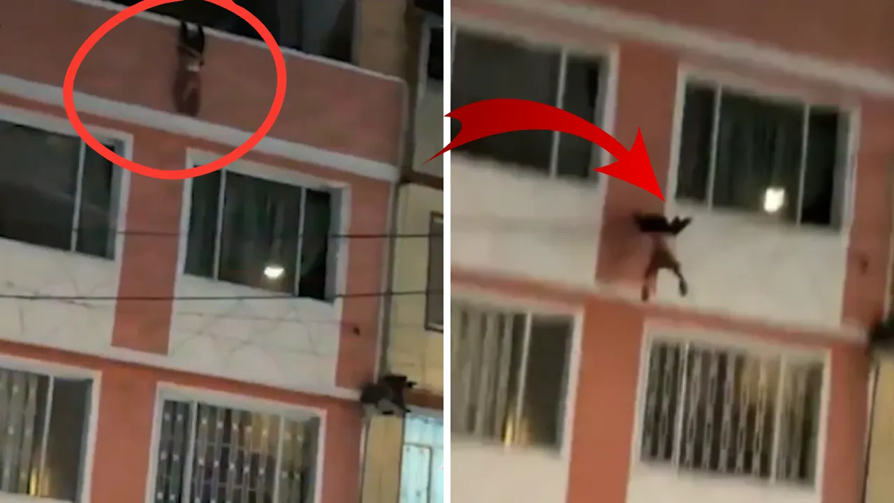 Yalnız bırakılan 2 yaşındaki çocuk 4. kattan düştü! Babasının savunması ise pes dedirtti