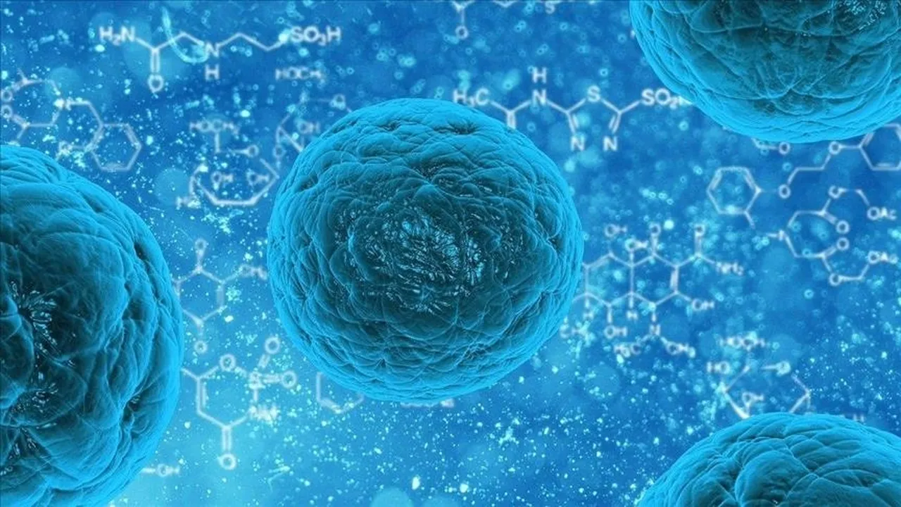 Fransa'da norovirüs alarmı! Gemideki 1700'den fazla kişi karantinaya alındı