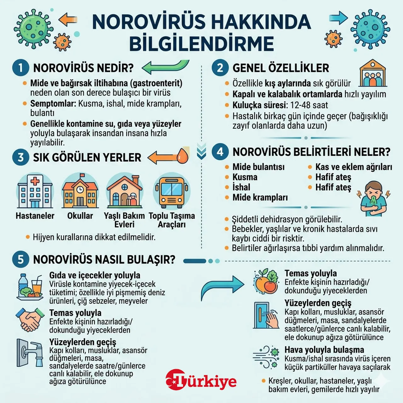 Fransa'da norovirüs alarmı! Gemideki 1700'den fazla kişi karantinaya alındı