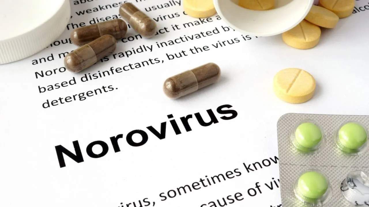 Tam 1 ay pusuda yatıyor? Belirtileri, tedavisi, Türkiye'de son durum...  İşte Norovirüs hakkında 15 soru ve cevap